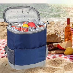 Insulated Portable Cooler Backpack 20 Can Waterproof for Ice Drink Beach Camping - Picture 1 of 16