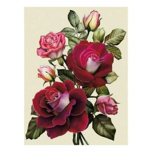 Kit de Pintura Diamante Completo "Flor Rosa Roja" Rnd Parcial 11"x 15" #210526 - Imagen 1 de 1