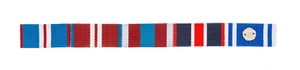 Queens Jubilee Gold, Diamond, Platinum, Kings Coronation & Police LSGC Rosette - Picture 1 of 1