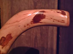 walking stick cane natural grown ROOT HANDLE for average size hands MADE IN USA - Picture 1 of 10