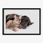 Tulup Bild MDF-gerahmte Wand-Dekor 70x50cm Bild Zimmer Hund mit einer Katze