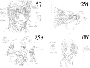 Shugo character correction setting materials - Foto 1 di 1