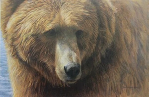 Robert Bateman - Grizzly Head - Paper Print - Mint in envelope - Picture 1 of 1