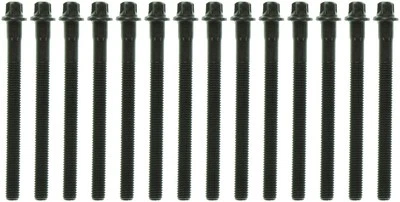 Juego de pernos de culata de motor Mahle para BMW 330Ci 2001-2006 3,0 L L L6 Foto 1 de 3