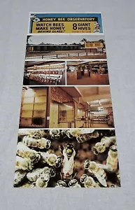 1978 FORT MYERS FLORIDA HONIGBIENENOBSERVATORIUM POSTKARTE  - Bild 1 von 2