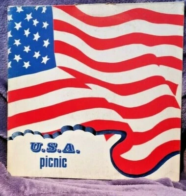 BERGONZI U.S.A. PICNIC 33 GIRI LP VINILE RARO - Image 1 of 2