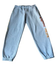 Patagonia Uprisal Women’s Sweat Pants Sz M Iron Works Great Pacific Powder Blue - Picture 1 of 13