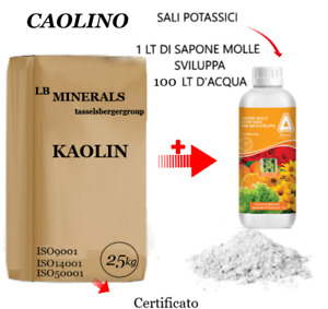 Caolino MOSCA DELL'OLIVO 25 KG + 1 LITRO SAPONE MOLLE BIOLOGICO