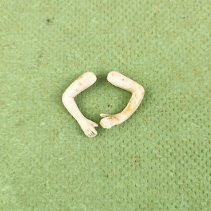 Antique porcelain dollhouse doll arms, elastic fixing, 0.97" & 1.1", Germany - Picture 1 of 6