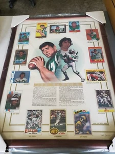 Topps Joe Namath Jets Commemorative Sheet Ltd Ed 740/4000 - FREE SHIPPING - Picture 1 of 3
