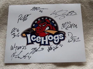 13/14 Rockford Icehogs Team Auto 8x10 Photo w/ Antti Raanta Chicago Blackhawks - Picture 1 of 1