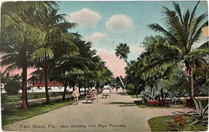 Royal Poinciana, Palm Beach, Florida, vintage postcard - Picture 1 of 3