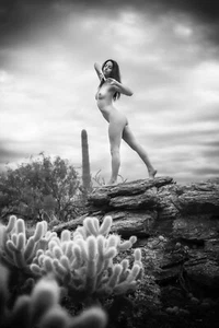 Stampa fotografica nudo fine art - 4x6, 8x12 o 13x19 - modello donna/donna - Foto 1 di 2