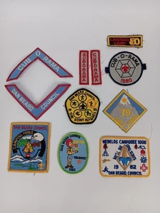 Lote De Colección 11 Parches de Campamento Cub Scout Boy Scout Dan Beard Council Webelos - Imagen 1 de 6