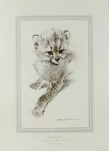 PRINT/ CHEETAH KITTEN / RALPH THOMPSON /34X25CMS/WILDLIFE/ TOP QUALITY - Picture 1 of 1