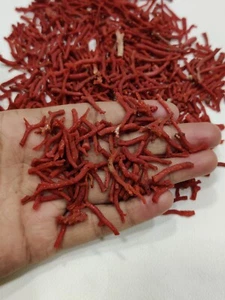 50 Pcs Lot !! Red Coral Unpolished Branch Beads-Natural Italian Coral Reef Beads - Picture 1 of 10
