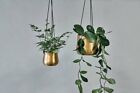 Nkuku Atsu Gold Brass Hanging Planter Plant Pot, String Hung Indoor Succulent