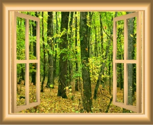 VWAQ 1X Otoño Bosque Ventana Pared Calcomanía Pelar y Pegar Mural VWAQ-NW42 - Imagen 1 de 2