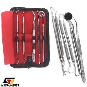 Juego dental de 5 piezas limpieza dental cuidado dental removedor de sarro sonda dental espejo bucal - Imagen 1 de 6