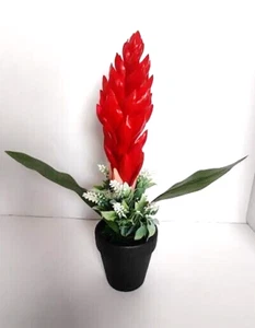 Ginger lily tropical floral arrangement tropical Hawaiian flowers RED - Picture 1 of 3