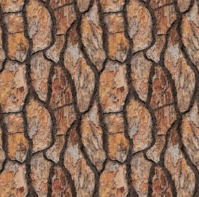 Blank Quilting Wilderness Song Brown Tree Bark Cotton Fabric by the Yard - Image 1 of 2