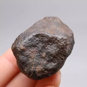 49g Chondrite Meteorite,NWA unclassified Meteorite, From Northwest Africa R917 - Picture 1 of 8