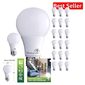 450 Lumens LED Bulbs - 6W Equivalent to 40W, Warm White Light for Home Decor - Picture 1 of 9