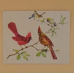 Vintage Greeting Card, Birds : Northern Cardinal - Not Used - Picture 1 of 3