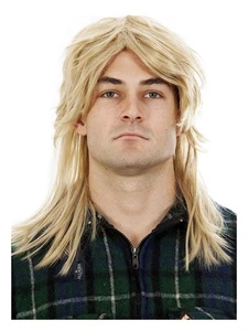 ALLAURA Blonde Mullet Wigs for Men 80s Costumes Mens Fancy Blonde/Brown - Picture 1 of 8