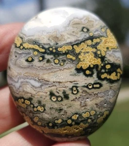 Ocean Jasper Palmstone Old Stock - Picture 1 of 8