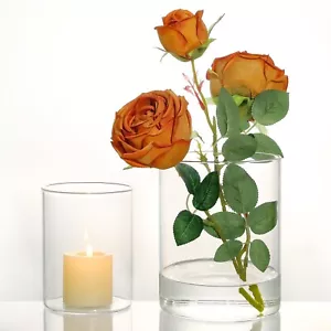 2Pcs Glass Vases for Centerpieces, Cylinder Flower Clear Vase Bulk Hurricane ... - Picture 1 of 6