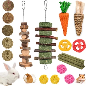 20 PCS Bunny Chew Toys for Teeth, Natural Rabbit Toys Apple Wood Grass Timothy  - Picture 1 of 7