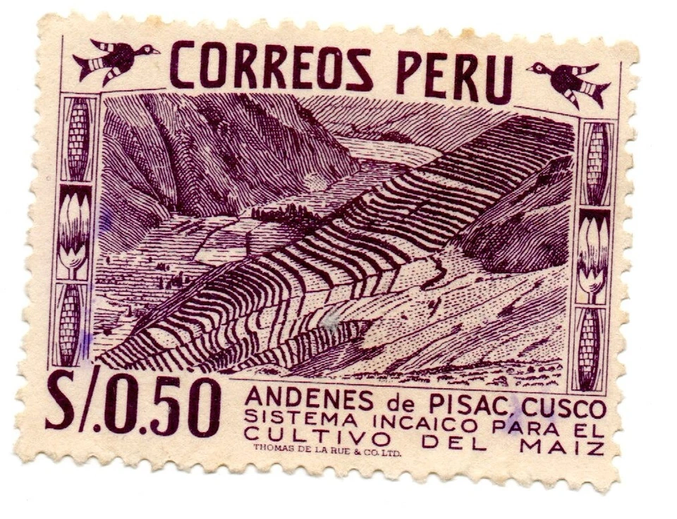 Sistema de plataformas agrícolas incas para cultivo de maíz: Andenes de Pisac-Cusco, Perú 1952 Foto 1 de 1