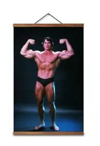 Arnold Schwarzenegger Bodybuilding Fitness Art Print Canvas Poster Wood Scroll - Picture 1 of 5
