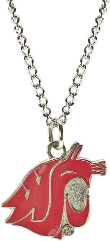 WASHINGTON STATE COUGARS LOGO PENDANT NECKLACE Cover