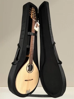 APC IRB312 ARTIST Irish Bouzouki - Solid Wood, Spruce Top & Rosewood, Includes - Image 1 of 4