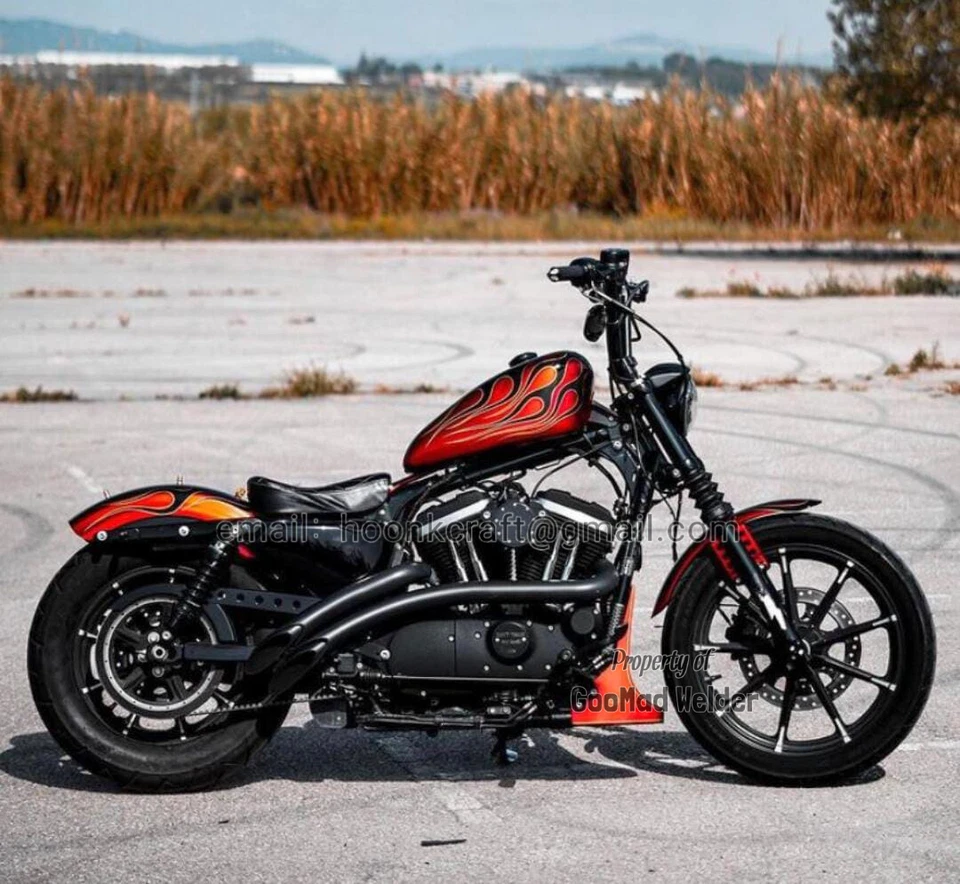 Sistema de escape personalizado para Harley Davidson modelo 2-2 Foto 1 de 4