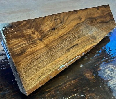 BURL MUY! Escopeta en blanco seca 949 WILD GRAIN RIZADO Claro Walnut Gunstock Stock Foto 1 de 4