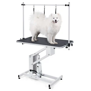 Hydraulic Pet Dog Grooming Table Max Load 350Lbs w/Adjustable Overhead Arm White - Picture 1 of 8