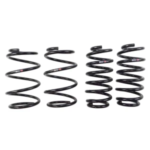 RS‑R T100D Down Sus Lowering Springs for 2011–2017 Lexus CT200h - Picture 1 of 4