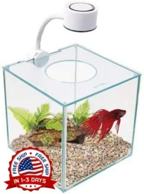 Kit de Betta de Cristal: Elegante Acuario de Cristal para Hogares y Oficinas NEW - Image 1 of 4