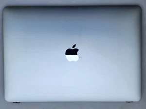 ORIGINALE Assemblaggio Display LCD MacBook Pro 2016 2017 A1706 A1708 - Argento D - Foto 1 di 2