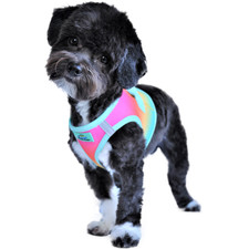 doggie design mesh harness