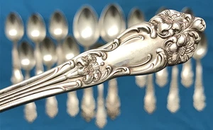 TIGER LILY Silverplated 12 TEASPOONS + 4 SERVING PIECES Reed & Barton Very Nice - Picture 1 of 8