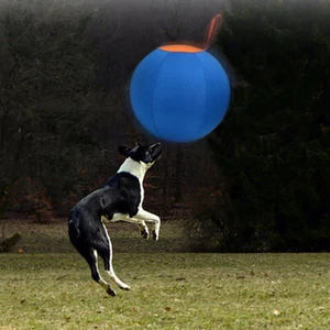 17.7" Dogs Outdoor Inflatable Ball Toy Training Border Collie Satsuma Alaskan - Picture 1 of 10