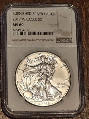 NGC MS-69 American Eagle 2017 bruñido 1 OZ plata fina Foto 1 de 2