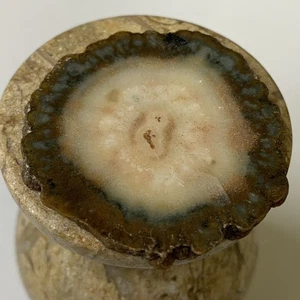 Amethyst Tropfstein Kristall Scheibe beidseitig poliert Las Torres Uruguay 1,5" - Bild 1 von 9