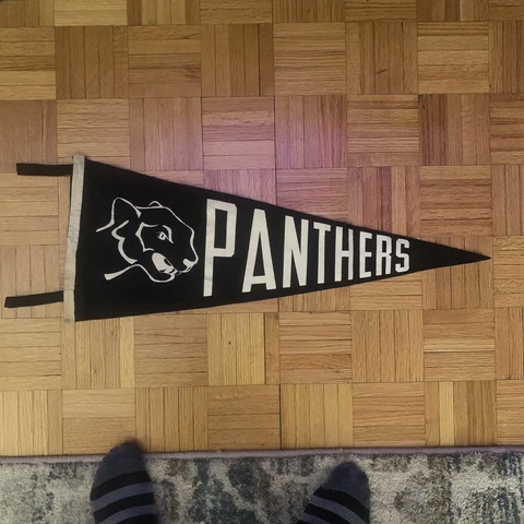 Vintage Panthers Pennant - PITT Clark Middlebury Carolina Florida Any School Cover