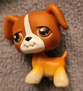 Littlest Pet Shop 2004 LPS #25 Brown Boxer Brown Eyes Red Magnet Original DOG - Picture 1 of 6