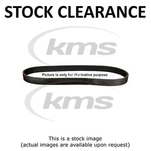 STOCK CLEARANCE POLYBELT FOR A6,A8,ACABRO 2.6i-2.8i 12V 94- (NO AC) 6PK1630 - Picture 1 of 3